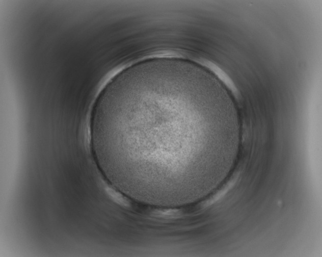 X0000115580837200911171008