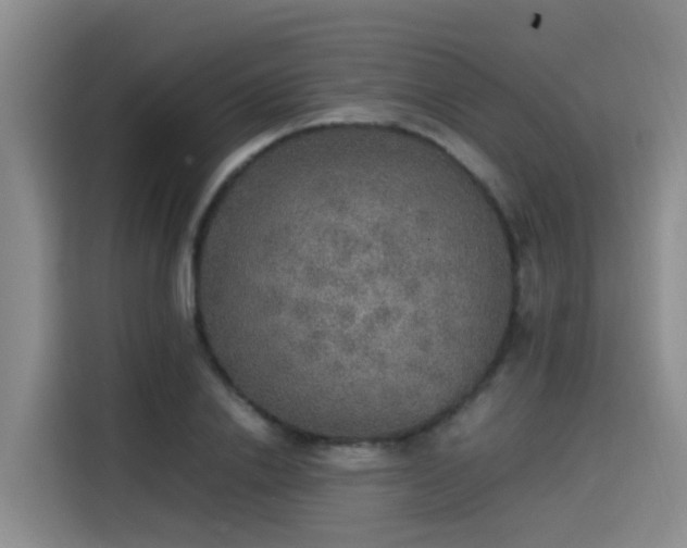 X0000115580838200911171008