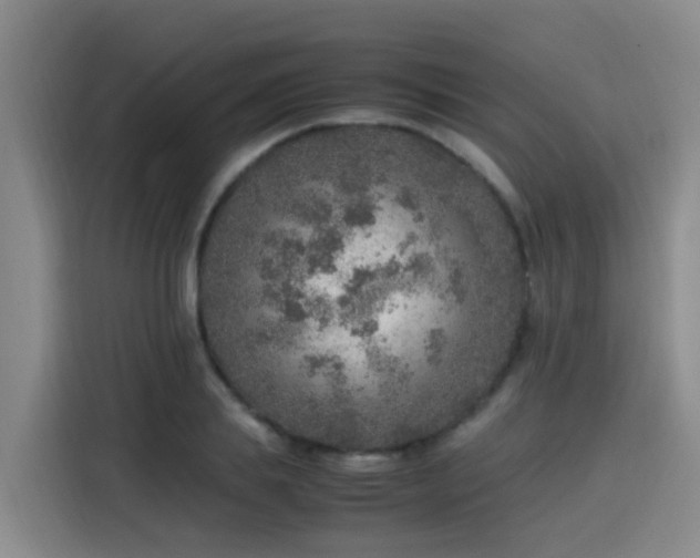 X0000115580839200911171008