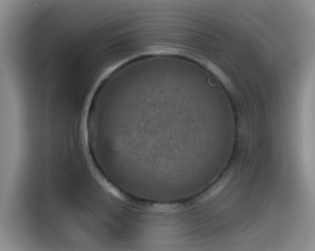 X0000115580840200911171008