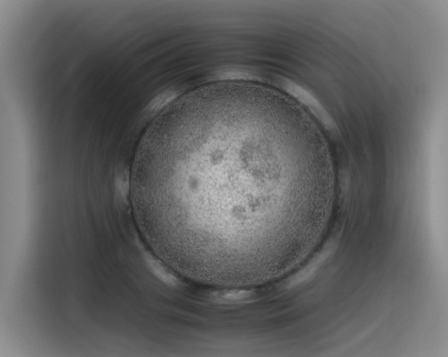 X0000115580841200911171008