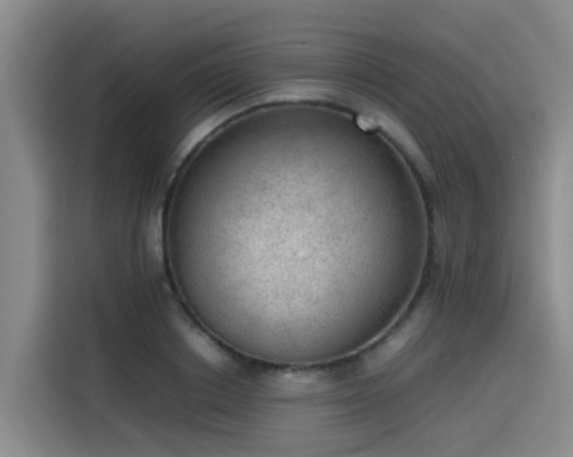 X0000115580842200911171008