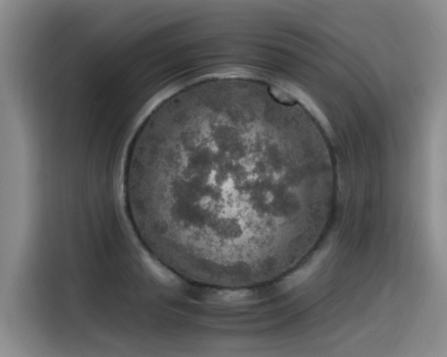 X0000115580845200911171008