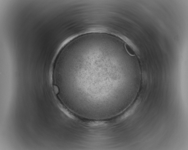 X0000115580846200911171008