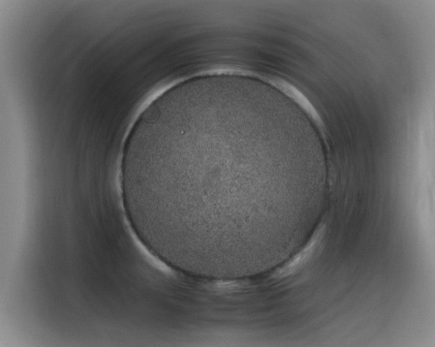 X0000115580847200911171008