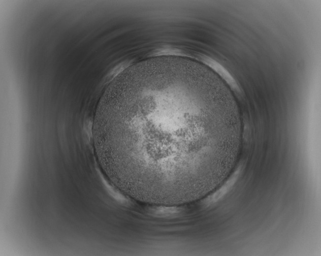 X0000115580849200911171008