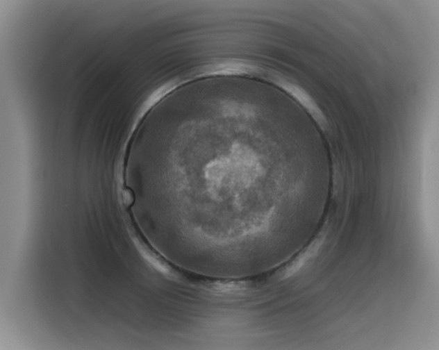 X0000115580850200911171008