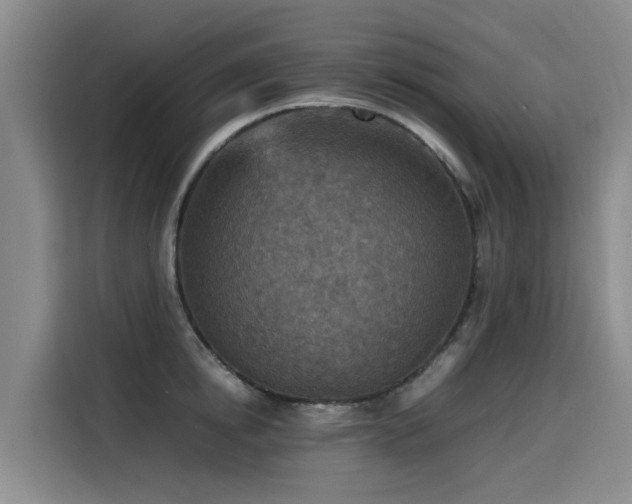 X0000115580854200911171008