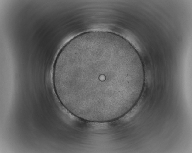 X0000115580856200911171008