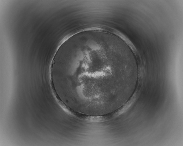 X0000115580858200911171008