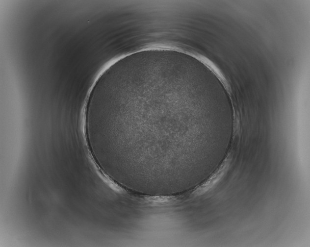 X0000115580862200911171008