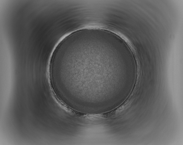 X0000115580864200911171008