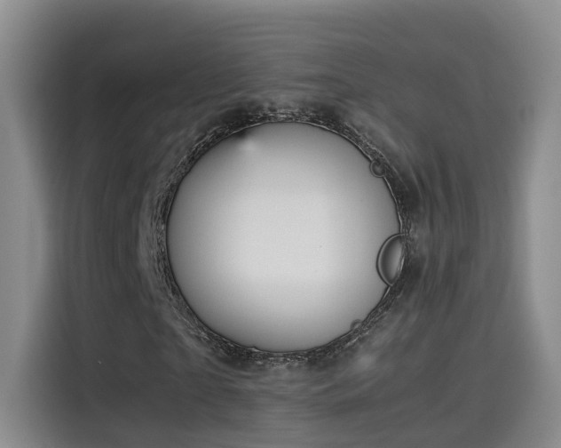 X0000115580865200911171008