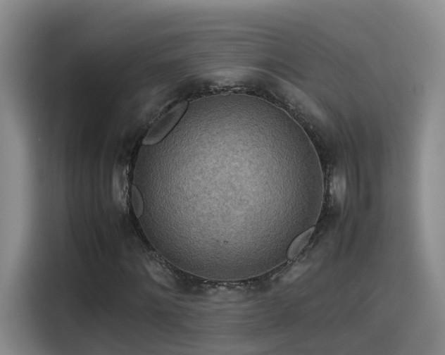 X0000115580868200911171008