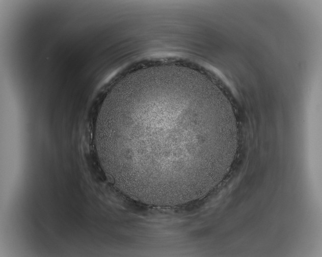 X0000115580871200911171008