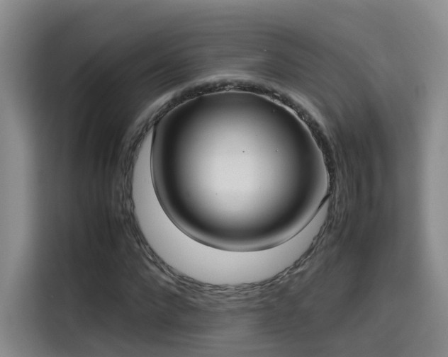 X0000115580872200911171008