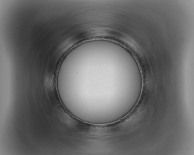 X0000115580873200911171008