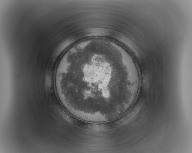 X0000115580874200911171008