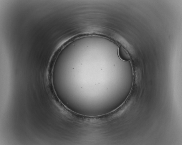 X0000115580876200911171007