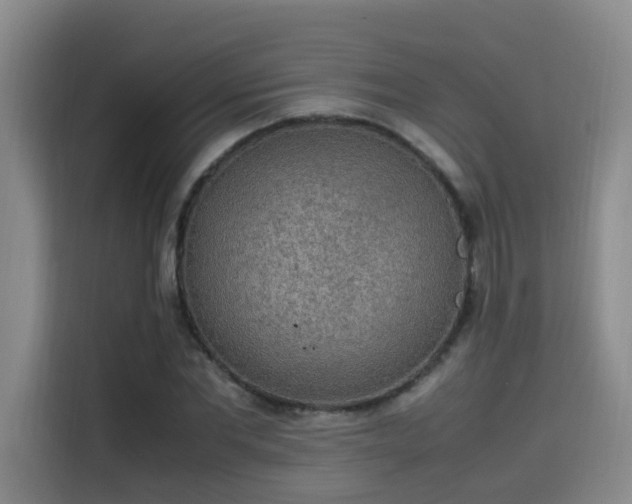 X0000115580877200911171007