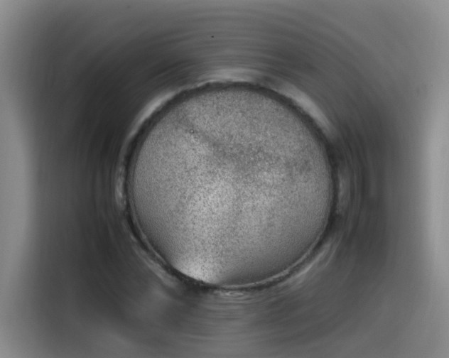 X0000115580878200911171007