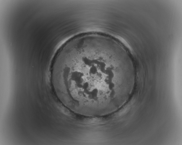 X0000115580879200911171007