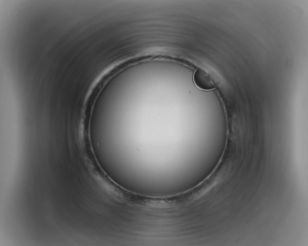 X0000115580880200911171007