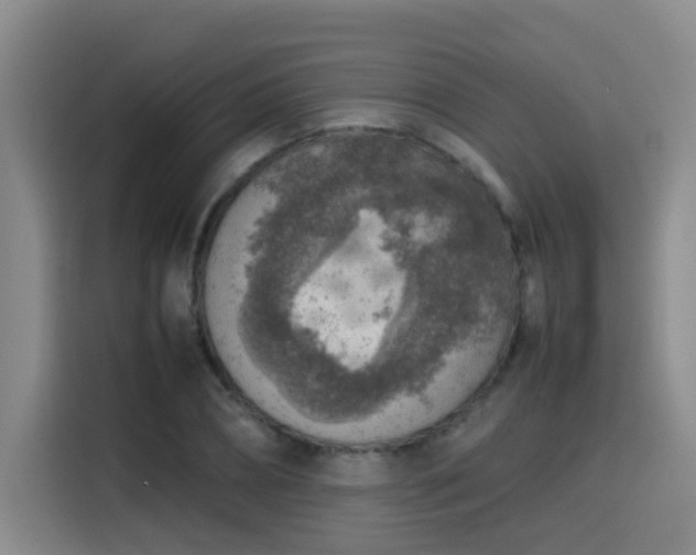 X0000115580882200911171007