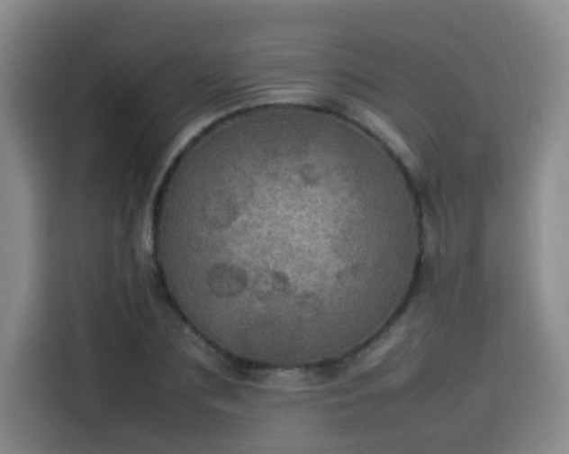 X0000115580883200911171007