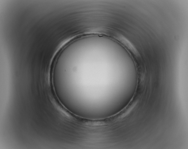 X0000115580884200911171007