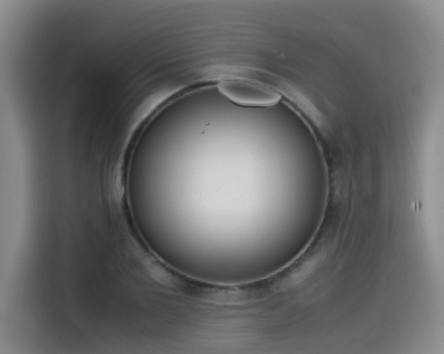 X0000115580885200911171007