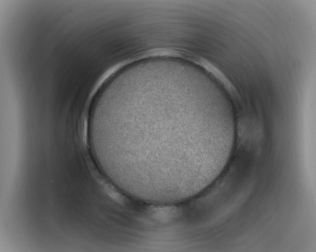 X0000115580886200911171007