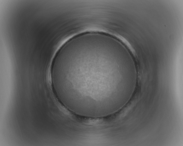 X0000115580887200911171007