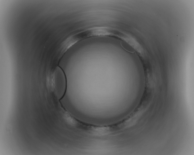 X0000115580889200911171007