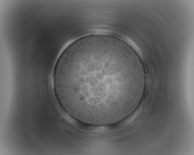 X0000115580891200911171007