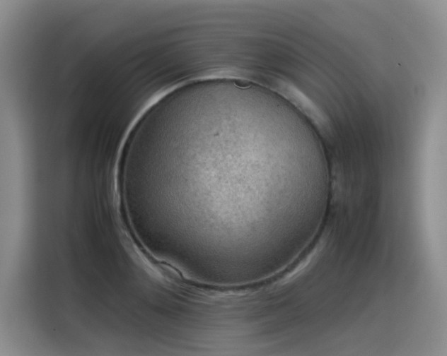 X0000115580892200911171007