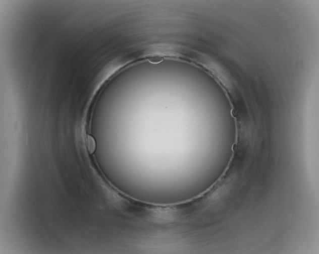 X0000115580893200911171007