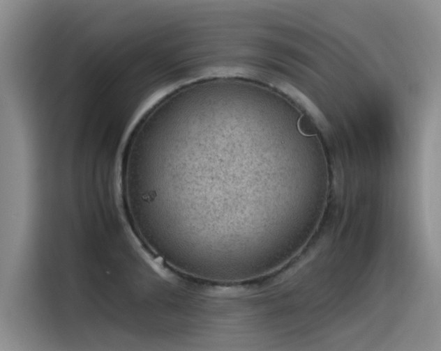 X0000115580894200911171007