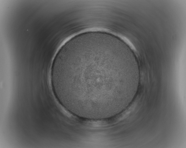 X0000115580895200911171007