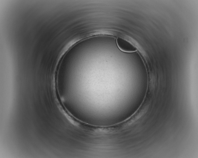 X0000115580898200911171007