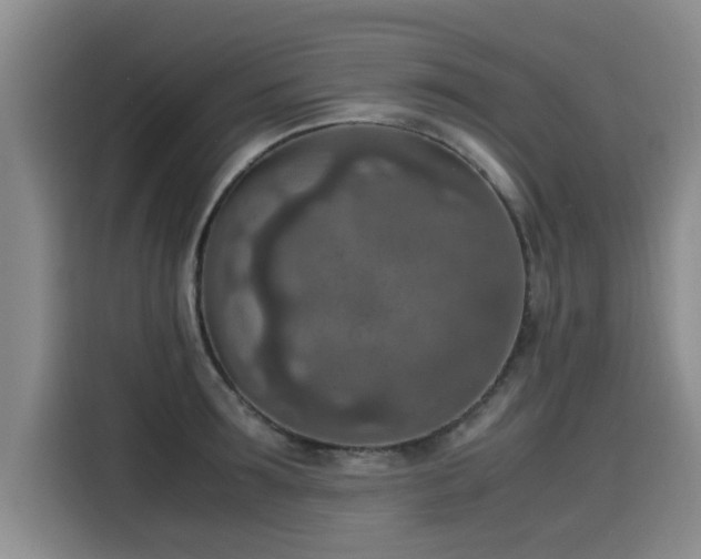 X0000115580899200911171007