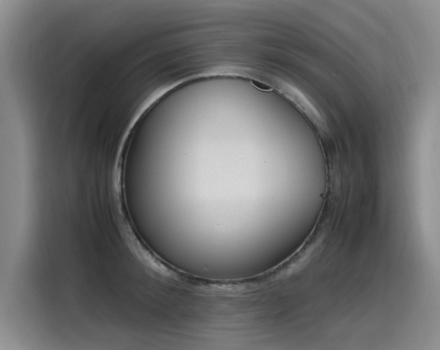 X0000115580900200911171007