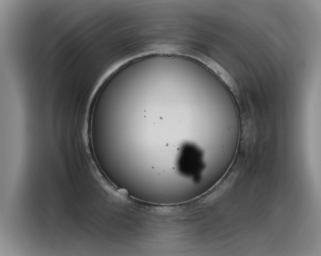 X0000115580904200911171007