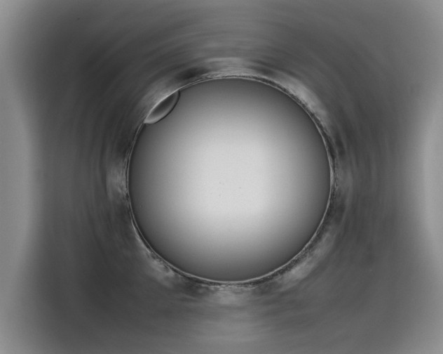 X0000115580905200911171007