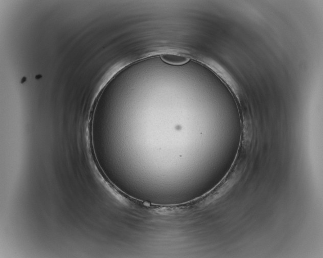 X0000115580906200911171007