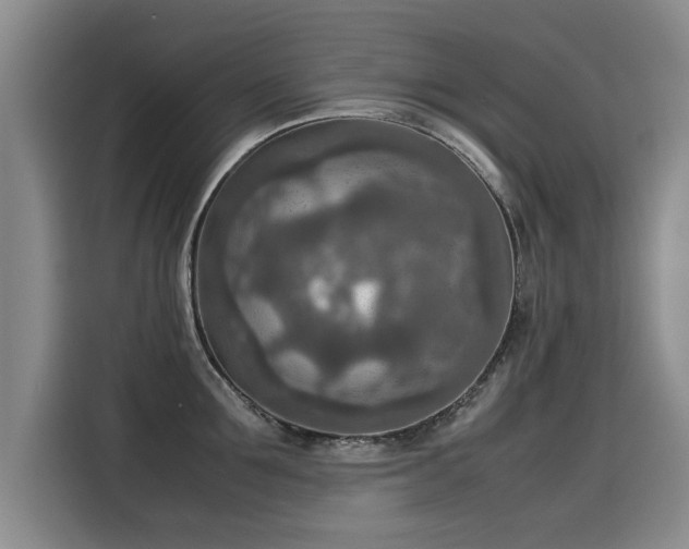 X0000115580907200911171007