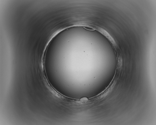 X0000115580908200911171007