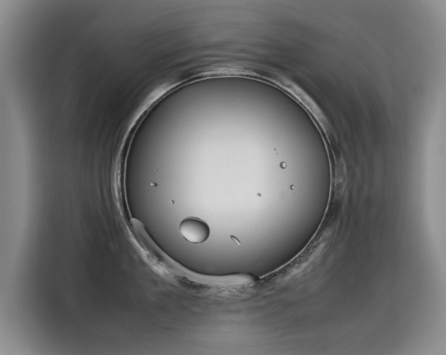 X0000115580909200911171007