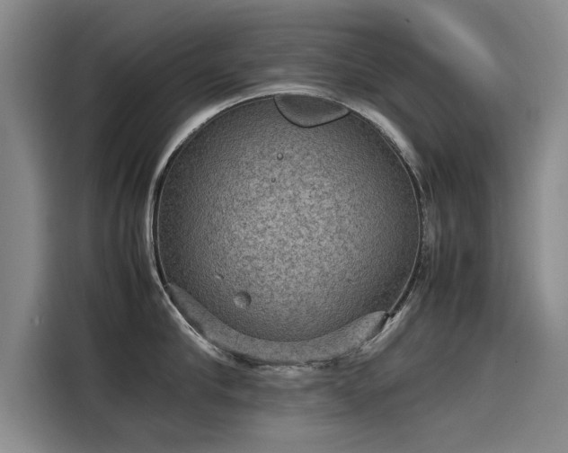 X0000115580910200911171007