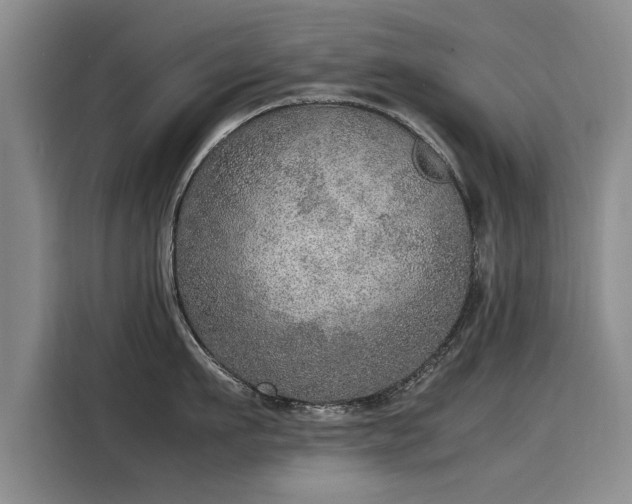 X0000115580911200911171007